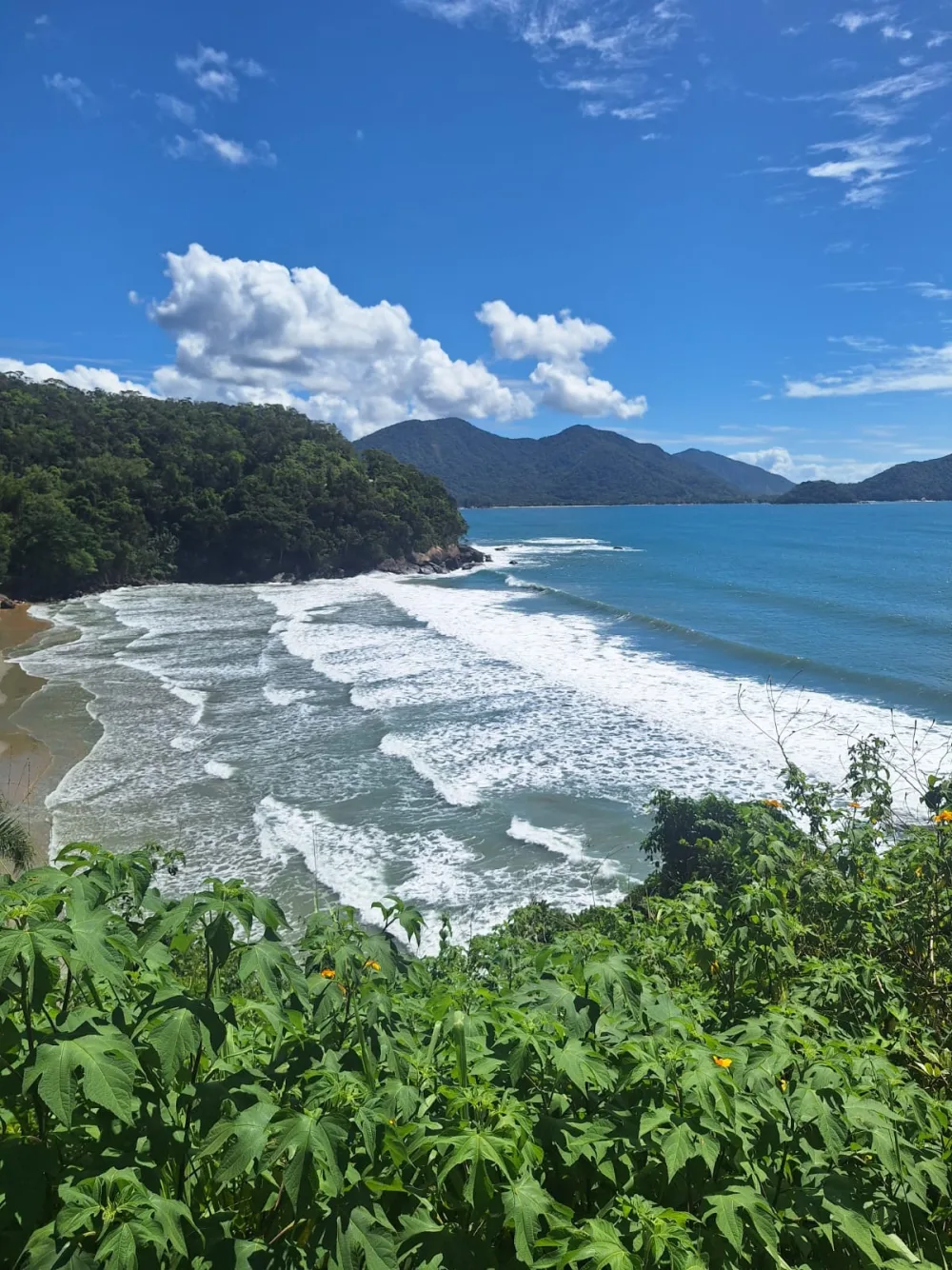 Praia vista do alto, cercada de Mata Atlântica